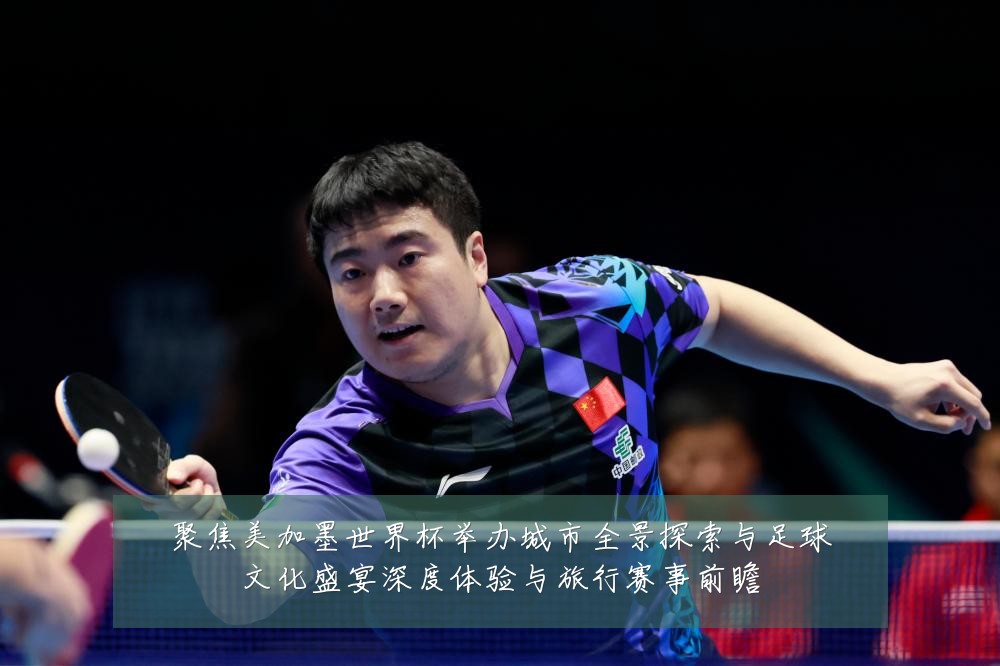 聚焦美加墨世界杯举办城市全景探索与足球文化盛宴深度体验与旅行赛事前瞻
